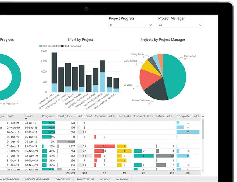 Microsoft Project 2021 Professional